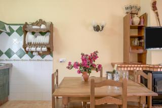 Casa Buganvilla - Conil de la Frontera - 3