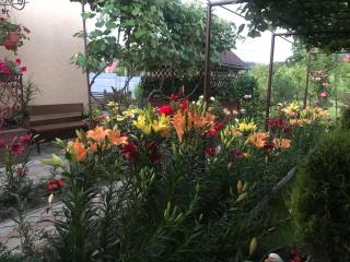 Квітковий двір - 5