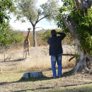 Adonsonia Lodge - Grietjie Nature Reserve - 8