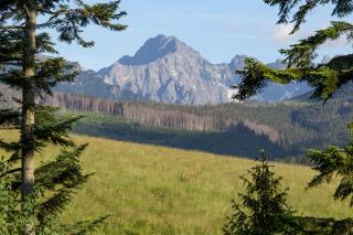 mc82 - Anna i Marek Łukaszczyk - 5