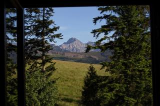 mc82 - Anna i Marek Łukaszczyk - 6