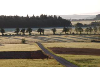 Schinderhanneshof - Weitersborn - 2