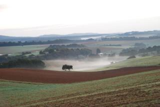 Schinderhanneshof - Weitersborn - 1