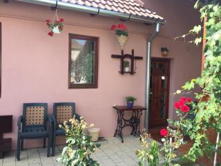 Casa rustica cu terasa - Mediaş - 5