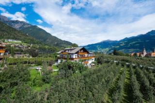 Hotel & Residence Rebhof - Tirol - 9