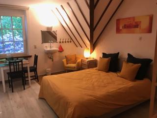 Boslucht Leuven - Heverlee - 1