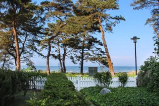 Villa Strandperle 01 - Bansin - 6