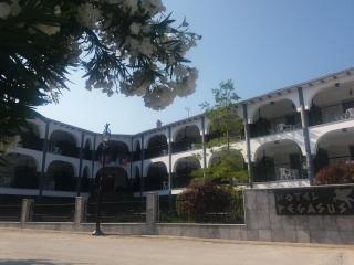 Pegasus Hotel - Hanioti - 1