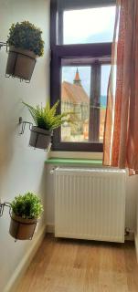 Casa Crown - Brasov - 5
