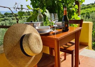 Vesuvio Inn Guest House e Wine Experience - Boscotrecase - 4