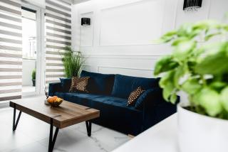 Hypnotize Apartment Glamour - 7