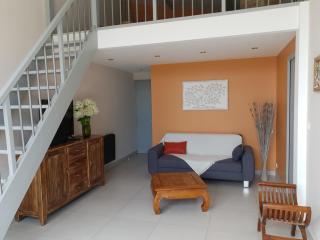 L' Albizia - Pintheville - 8