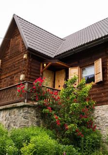 Chalet M - Lunca Bradului - 5