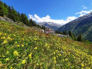 Alpengasthof Gaislach Alm - Sölden - 0