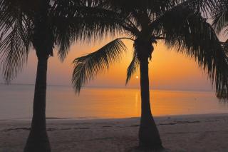 Hotel Posada Seremein ,West Bay ,Roatan - West Bay - 5