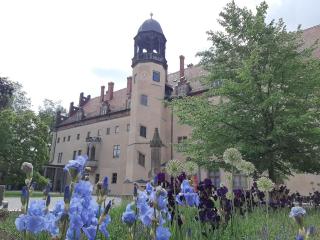Fewo Rosenblüte am Stadtpark - 2