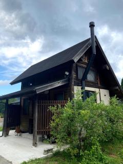 Guesthouse EL CAMPO - 7