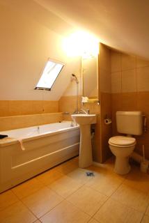 Casa iRMA - Rooms for rent - Bacău - 1