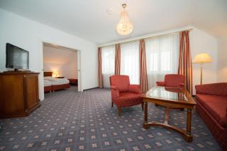 Parkhotel Styria - Steyr - 8
