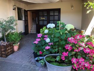 Ferienwohnungen In de goldisch Luft - Gau-Algesheim - 3