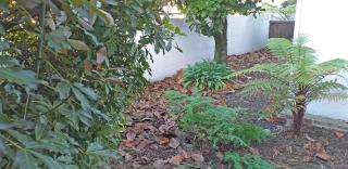 Shadzz Motel - Palmerston North - 9
