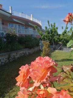 Hotel Villa Sevasti - Kateríni - 2