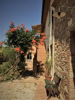 Poggio Magginga - Terricciola - 6