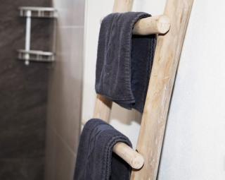 Appartement HANNE - Saalfelden am Steinernen Meer - 4
