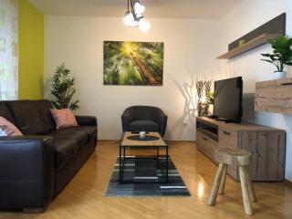 Apartma Kreda - Mojstrana - 8