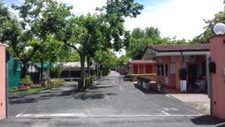 CAMPING CALATELLA parco di vacanza - Marina di Massa - 3