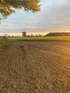 Old Rectory - Scoulton - Great Ellingham - 4
