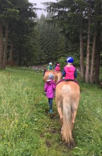 Apart Ferienraich - Arzl im Pitztal - 9