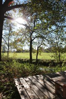 Ferienhof Idyll am kleinen Fließ - 8
