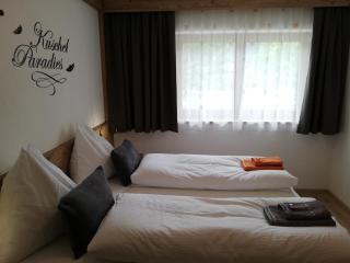 Appartements Spitaler - Ried im Zillertal - 3