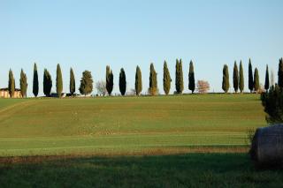 Agriturismo KeBio I Tenuta di Fassia - Gubbio - 6