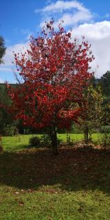 Athanor Cottages - 2