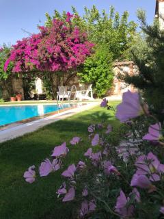 Alacati Zeytin Konak Hotel - Alaçatı - 5