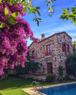 Alacati Zeytin Konak Hotel - Alaçatı - 3