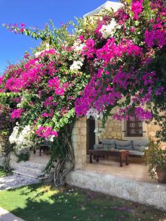 Alacati Zeytin Konak Hotel - Alaçatı - 2