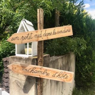 Un petit nid dans la verdure - Holtzwihr - 8