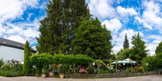 Hotel zur Post - Mülheim an der Mosel - 3