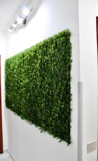 Apartment Omnia - 5