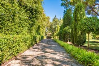 Peace & Tranquility, Sotogrande, Spain - Sotogrande - 9