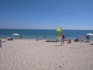 Blue Marine Ap 26 - 8