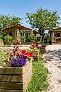 Les minis homes du Bugey - Eco-lodge Nature ,un refuge en hyper centre - Ambérieu-en-Bugey - 9