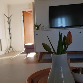 Sörgårdens gästlägenhet 1-4 personer - Köping - 5