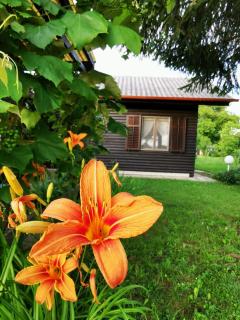 MERIKOTKA - a cozy wooden cottage, sLOVEnia - Braslovče - 6