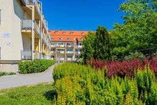Apartament Madam - Stegna - 9
