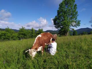 Tourist Farm Strle With Great Local Food - Cerknica - 5