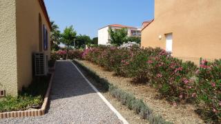 Villa 8 De Oranje Tulp - Le Barcarès - 7